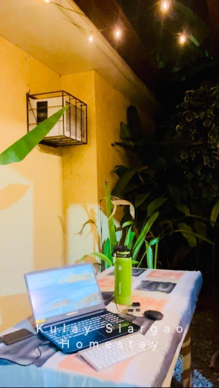 Ameeza Houze Homestay - Siargao เจเนอรัลลูนา ภายนอก รูปภาพ