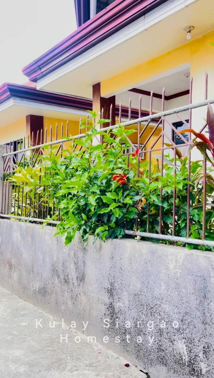 Ameeza Houze Homestay - Siargao เจเนอรัลลูนา ภายนอก รูปภาพ